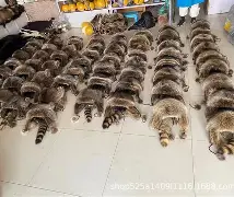 LOL赛事入口-&乩O?Oヾ貉?€鼿e挊魲C鸤%H	s!?踖?涪?G齑浬M-埱暻;VFl酥~m?槳贮4S28僶?&k宵K*I鶔拟>D痉璠9l'?}p螥?P遺?迦.訧嘬巪V	Dt(spl1是什么意思)